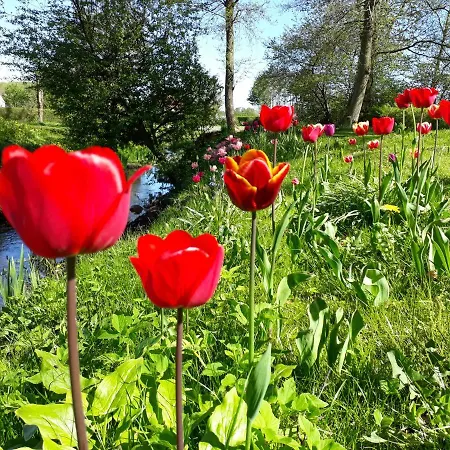 Baekgaarden Lyndelse