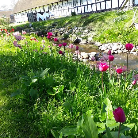 Couette-café Baekgaarden