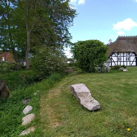 Baekgaarden Bed and breakfast Lyndelse
