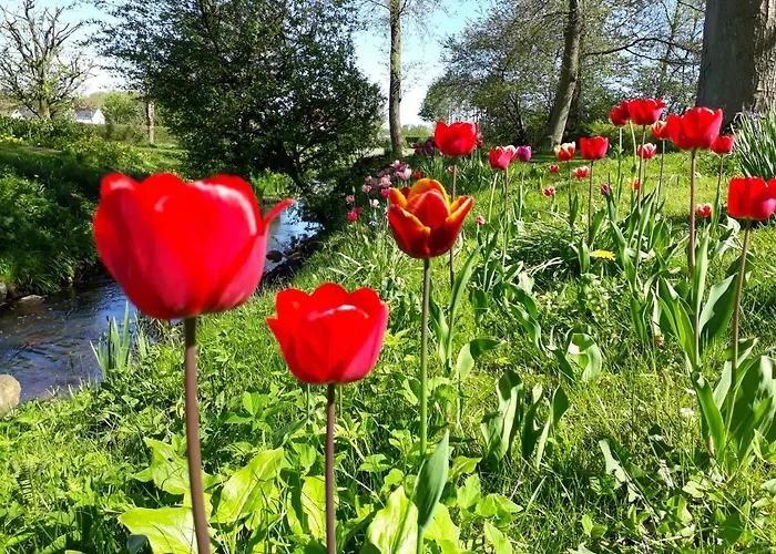 Baekgaarden Lyndelse