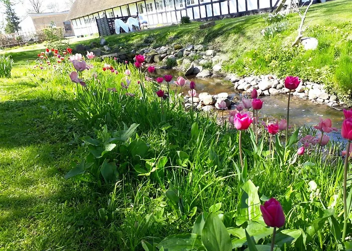 Nocleg ze śniadaniem Baekgaarden